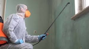 Best Industrial Mold Remediation  in Eldersburg, MD